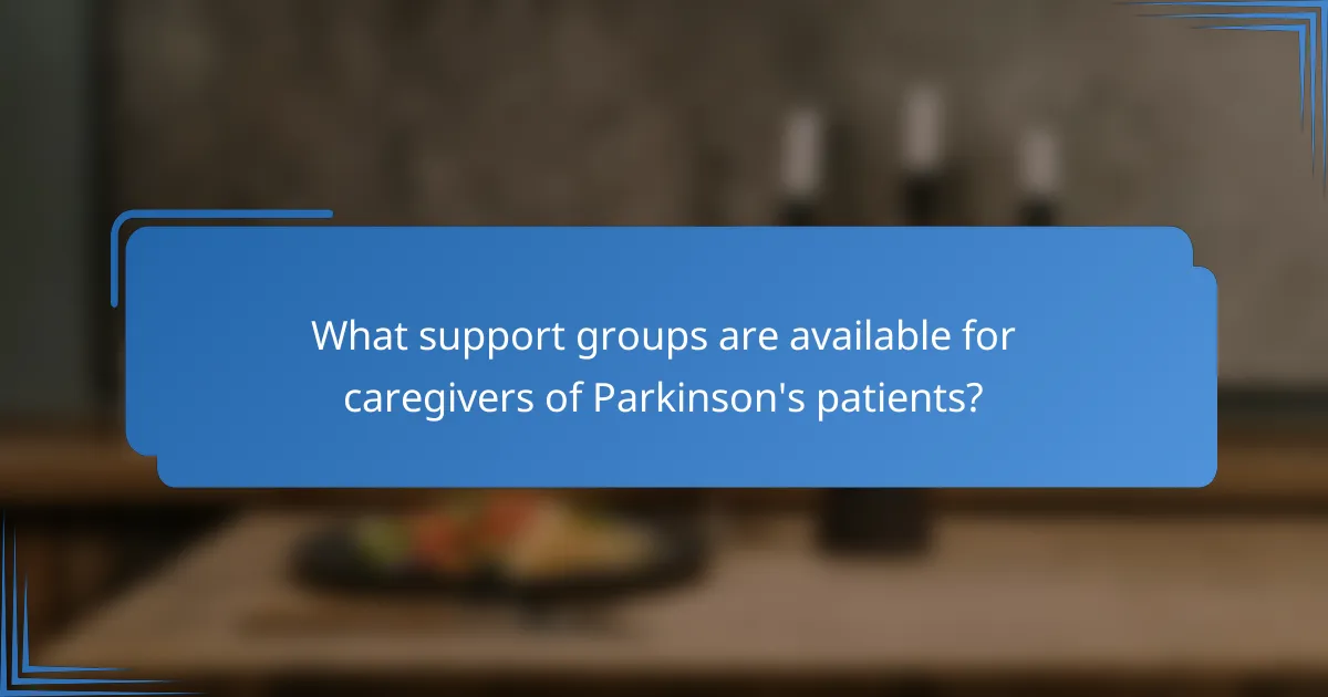 What support groups are available for caregivers of Parkinson's patients?
